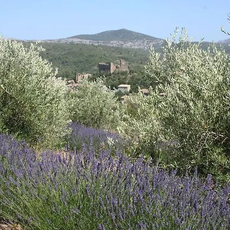 Bergerie Marcel